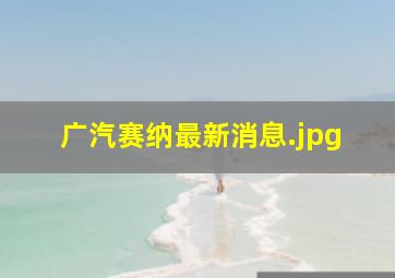 广汽赛纳最新消息