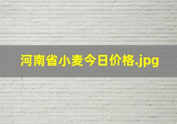 河南省小麦今日价格