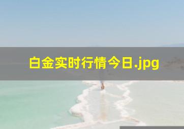 白金实时行情今日