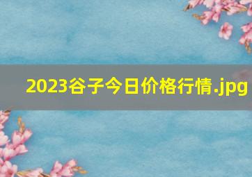 2023谷子今日价格行情