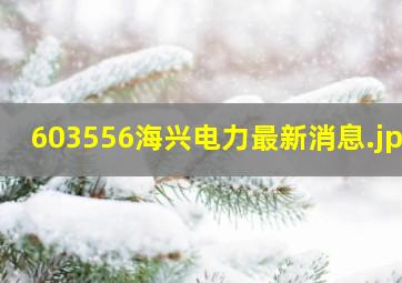 603556海兴电力最新消息