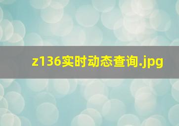 z136实时动态查询