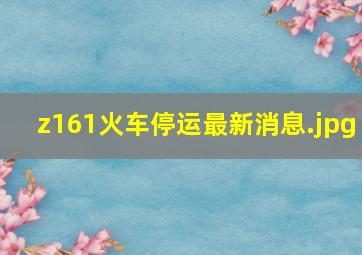 z161火车停运最新消息