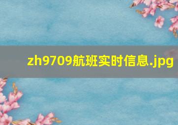 zh9709航班实时信息